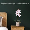 image:imageMikasa Artificial Orchid in Pot Real Touch Phalaenopsis Orchid Faux Aged Cement Pot 22Inch Double Branch WhitePinkPink Spot