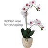image:imageMikasa Artificial Orchid in Pot Real Touch Phalaenopsis Orchid Faux Aged Cement Pot 22Inch Double Branch WhitePinkWhitePink