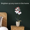 image:imageMikasa Artificial Orchid in Pot Real Touch Phalaenopsis Orchid Faux Aged Cement Pot 22Inch Double Branch WhitePinkWhitePink