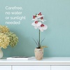 image:imageMikasa Artificial Orchid in Pot Real Touch Phalaenopsis Orchid Faux Aged Cement Pot 22Inch Double Branch WhitePinkWhitePink