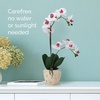 image:imageMikasa Artificial Orchid in Pot Real Touch Phalaenopsis Orchid Faux Aged Cement Pot 22Inch Double Branch WhitePinkWhitePink