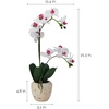 image:imageMikasa Artificial Orchid in Pot Real Touch Phalaenopsis Orchid Faux Aged Cement Pot 22Inch Double Branch WhitePinkWhitePink