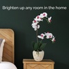 image:imageMikasa Artificial Orchid in Pot Real Touch Phalaenopsis Orchid Faux Aged Cement Pot 22Inch Double Branch WhitePinkWhitePink
