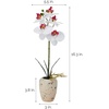 image:imageMikasa Artificial Orchid in Pot Real Touch Phalaenopsis Orchid Faux Aged Cement Pot 22Inch Double Branch WhitePinkWhitePink