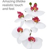 image:imageMikasa Artificial Orchid in Pot Real Touch Phalaenopsis Orchid Faux Aged Cement Pot 22Inch Double Branch WhitePinkWhitePink
