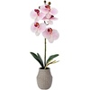 image:imageMikasa Artificial Orchid in Pot Real Touch Phalaenopsis Orchid Embossed Weave Cement Pot 16Inch Single Branch Watercolor PinkWatercolor Pink