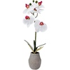 image:imageMikasa Artificial Orchid in Pot Real Touch Phalaenopsis Orchid Embossed Weave Cement Pot 16Inch Single Branch Watercolor PinkWhitePink
