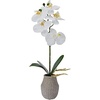 image:imageMikasa Artificial Orchid in Pot Real Touch Phalaenopsis Orchid Embossed Weave Cement Pot 16Inch Single Branch Watercolor PinkWhiteYellow