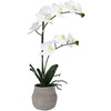 image:imageMikasa Artificial Orchid in Pot Real Touch Phalaenopsis Orchid Embossed Weave Cement Pot 16Inch Single Branch Watercolor PinkWhiteYelow