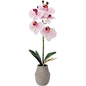 image:imageMikasa Artificial Orchid in Pot Real Touch Phalaenopsis Orchid Embossed Weave Cement Pot 16Inch Single Branch Watercolor PinkWatercolor Pink