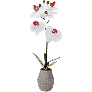 image:imageMikasa Artificial Orchid in Pot Real Touch Phalaenopsis Orchid Embossed Weave Cement Pot 16Inch Single Branch Watercolor PinkWhitePink