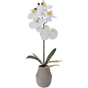 image:imageMikasa Artificial Orchid in Pot Real Touch Phalaenopsis Orchid Embossed Weave Cement Pot 16Inch Single Branch Watercolor PinkWhiteYellow