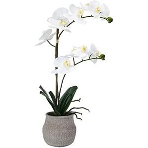 image:imageMikasa Artificial Orchid in Pot Real Touch Phalaenopsis Orchid Embossed Weave Cement Pot 16Inch Single Branch Watercolor PinkWhiteYelow