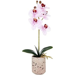 image:imageMikasa Artificial Orchid in Pot Real Touch Phalaenopsis Orchid Faux Aged Cement Pot 22Inch Double Branch WhitePinkPink Spot