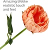 image:imageElements Mikasa Artificial Latex Peony Bouquet Lifelike Look and Feel Set of 4 55x5x18 InchMulticolor