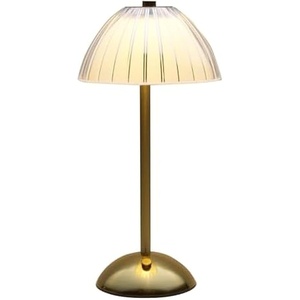 image:imageMikasa Acrylic and Metal Rechargeable Cordless LED Lamp with Clear Shade 59x59x11 InchGold Dome Shade