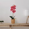 image:imageMikasa Artificial Orchid in Pot Real Touch Phalaenopsis Orchid Embossed Caning Cement Pot 16Inch Single Branch RosewoodRosewood