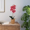 image:imageMikasa Artificial Orchid in Pot Real Touch Phalaenopsis Orchid Embossed Caning Cement Pot 16Inch Single Branch RosewoodRosewood