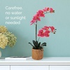 image:imageMikasa Artificial Orchid in Pot Real Touch Phalaenopsis Orchid Embossed Caning Cement Pot 16Inch Single Branch RosewoodRosewood