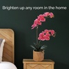 image:imageMikasa Artificial Orchid in Pot Real Touch Phalaenopsis Orchid Embossed Caning Cement Pot 16Inch Single Branch RosewoodRosewood