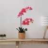 image:imageMikasa Artificial Orchid in Pot Real Touch Phalaenopsis Orchid Embossed Caning Cement Pot 16Inch Single Branch RosewoodRosewood