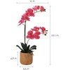 image:imageMikasa Artificial Orchid in Pot Real Touch Phalaenopsis Orchid Embossed Caning Cement Pot 16Inch Single Branch RosewoodRosewood