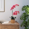 image:imageMikasa Artificial Orchid in Pot Real Touch Phalaenopsis Orchid Embossed Caning Cement Pot 16Inch Single Branch RosewoodRosewood