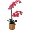 image:imageMikasa Artificial Orchid in Pot Real Touch Phalaenopsis Orchid Embossed Caning Cement Pot 16Inch Single Branch RosewoodRosewood