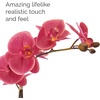 image:imageMikasa Artificial Orchid in Pot Real Touch Phalaenopsis Orchid Embossed Caning Cement Pot 16Inch Single Branch RosewoodRosewood