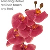 image:imageMikasa Artificial Orchid in Pot Real Touch Phalaenopsis Orchid Embossed Caning Cement Pot 16Inch Single Branch RosewoodWater Color Pink