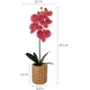 image:imageMikasa Artificial Orchid in Pot Real Touch Phalaenopsis Orchid Embossed Caning Cement Pot 16Inch Single Branch RosewoodWater Color Pink