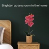 image:imageMikasa Artificial Orchid in Pot Real Touch Phalaenopsis Orchid Embossed Caning Cement Pot 16Inch Single Branch RosewoodWater Color Pink