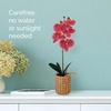 image:imageMikasa Artificial Orchid in Pot Real Touch Phalaenopsis Orchid Embossed Caning Cement Pot 16Inch Single Branch RosewoodWater Color Pink