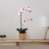 image:imageMikasa Artificial Orchid in Pot Real Touch Phalaenopsis Orchid Embossed Caning Cement Pot 16Inch Single Branch RosewoodWatercolor Pink