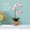 image:imageMikasa Artificial Orchid in Pot Real Touch Phalaenopsis Orchid Embossed Caning Cement Pot 16Inch Single Branch RosewoodWatercolor Pink