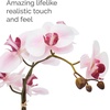 image:imageMikasa Artificial Orchid in Pot Real Touch Phalaenopsis Orchid Embossed Caning Cement Pot 16Inch Single Branch RosewoodWatercolor Pink