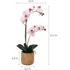image:imageMikasa Artificial Orchid in Pot Real Touch Phalaenopsis Orchid Embossed Caning Cement Pot 16Inch Single Branch RosewoodWatercolor Pink