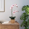 image:imageMikasa Artificial Orchid in Pot Real Touch Phalaenopsis Orchid Embossed Caning Cement Pot 16Inch Single Branch RosewoodWatercolor Pink