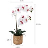 image:imageMikasa Artificial Orchid in Pot Real Touch Phalaenopsis Orchid Embossed Caning Cement Pot 16Inch Single Branch RosewoodWhitePink