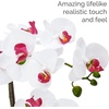 image:imageMikasa Artificial Orchid in Pot Real Touch Phalaenopsis Orchid Embossed Caning Cement Pot 16Inch Single Branch RosewoodWhitePink