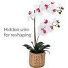 image:imageMikasa Artificial Orchid in Pot Real Touch Phalaenopsis Orchid Embossed Caning Cement Pot 16Inch Single Branch RosewoodWhitePink