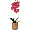 image:imageMikasa Artificial Orchid in Pot Real Touch Phalaenopsis Orchid Embossed Caning Cement Pot 16Inch Single Branch RosewoodRosewood