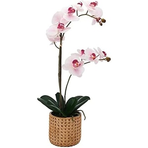 image:imageMikasa Artificial Orchid in Pot Real Touch Phalaenopsis Orchid Embossed Caning Cement Pot 16Inch Single Branch RosewoodWatercolor Pink