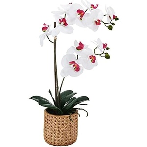 image:imageMikasa Artificial Orchid in Pot Real Touch Phalaenopsis Orchid Embossed Caning Cement Pot 16Inch Single Branch RosewoodWhitePink
