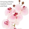 image:imageMikasa Artificial Orchid in Pot Real Touch Phalaenopsis Orchid Faux Aged Cement Pot 22Inch Double Branch WhiteYellowWatercolor Pink