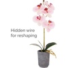 image:imageMikasa Artificial Orchid in Pot Real Touch Phalaenopsis Orchid Faux Aged Cement Pot 22Inch Double Branch WhiteYellowWatercolor Pink