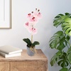 image:imageMikasa Artificial Orchid in Pot Real Touch Phalaenopsis Orchid Faux Aged Cement Pot 22Inch Double Branch WhiteYellowWatercolor Pink