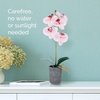 image:imageMikasa Artificial Orchid in Pot Real Touch Phalaenopsis Orchid Faux Aged Cement Pot 22Inch Double Branch WhiteYellowWatercolor Pink
