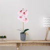 image:imageMikasa Artificial Orchid in Pot Real Touch Phalaenopsis Orchid Faux Aged Cement Pot 22Inch Double Branch WhiteYellowWatercolor Pink