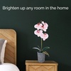 image:imageMikasa Artificial Orchid in Pot Real Touch Phalaenopsis Orchid Faux Aged Cement Pot 22Inch Double Branch WhiteYellowWatercolor Pink